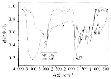 PUA/EA復(fù)合乳液UV固化前后的紅外譜圖